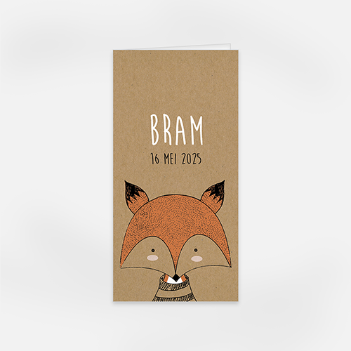 Lortye Geboortjekaartjes 001 Bram